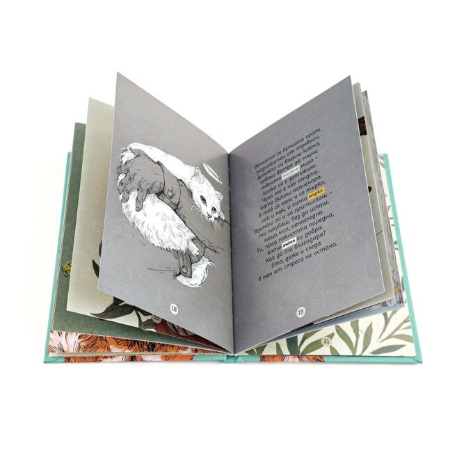 2-iskam-li-kotka-vesela-genova-apash-illustration-book-detska-kotka-cat-Inside